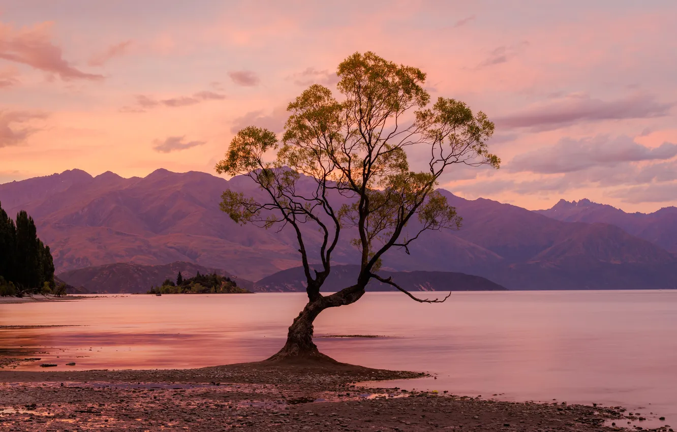 Photo wallpaper forest, sky, landscape, New Zealand, nature, sunset, clouds, lake