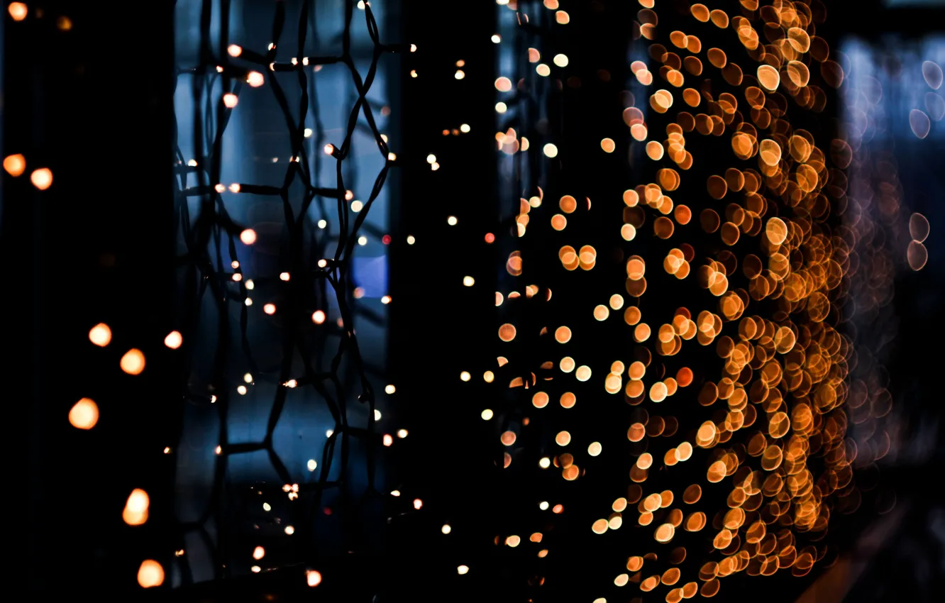 Photo wallpaper macro, mesh, garland, light bulb