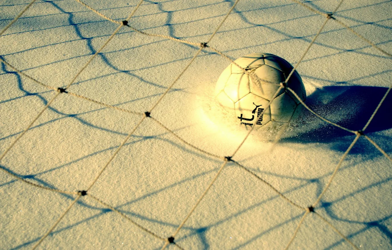 Photo wallpaper snow, mesh, sport, the ball