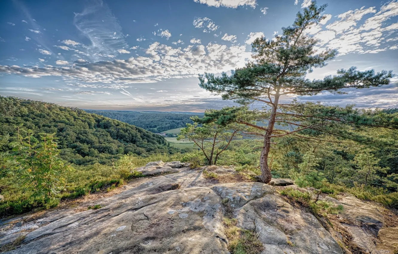 Photo wallpaper the sky, trees, rocks