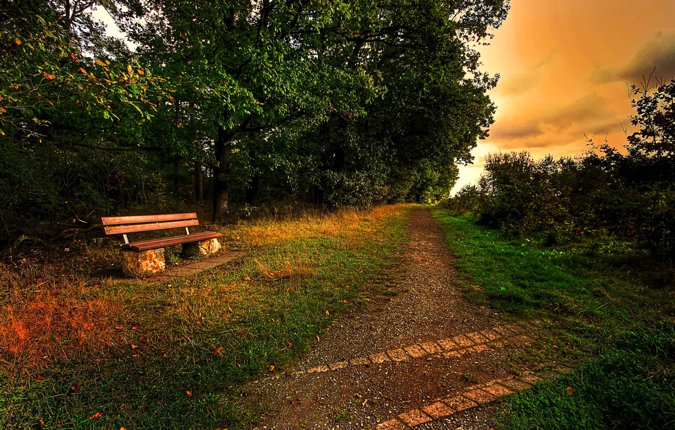 Photo wallpaper the sky, trees, path, bench