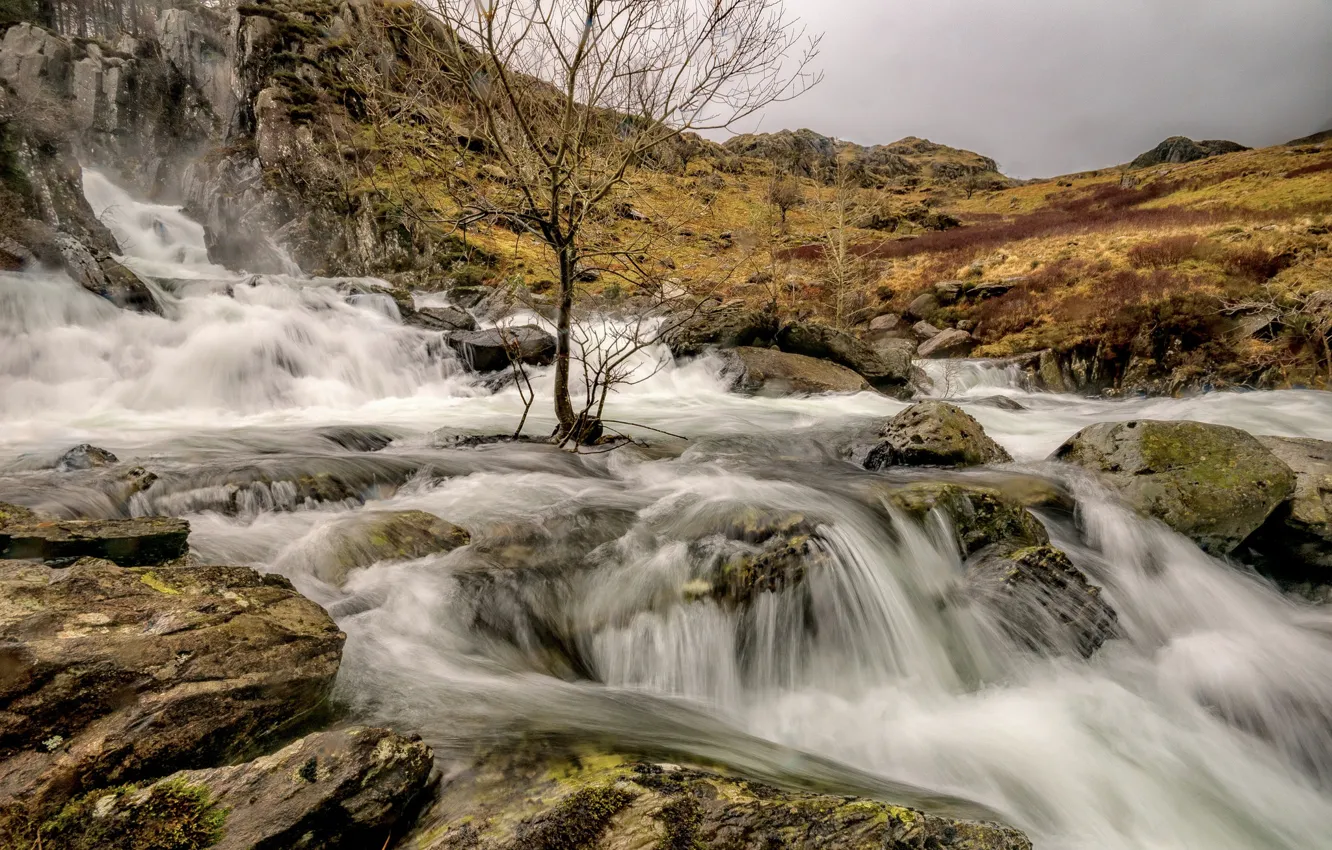 Photo wallpaper clouds, river, stones, tree, mountain, stream, Wales, Snowdonia