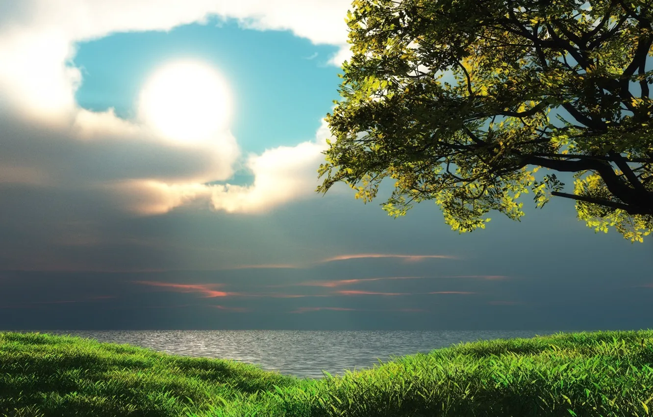 Photo wallpaper the sky, clouds, trees, lake, sun. grass