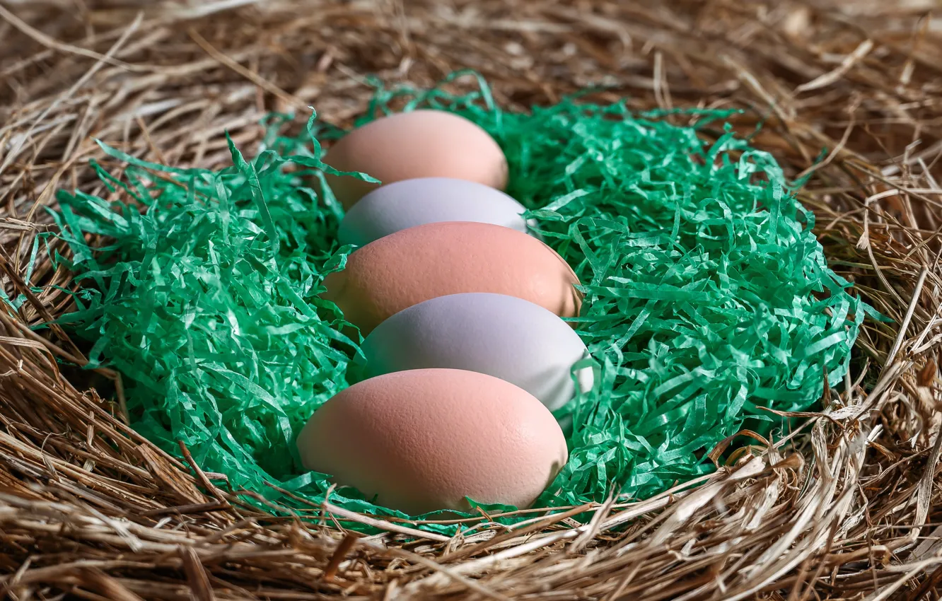 Photo wallpaper greens, light, grey, holiday, eggs, spring, Easter, socket