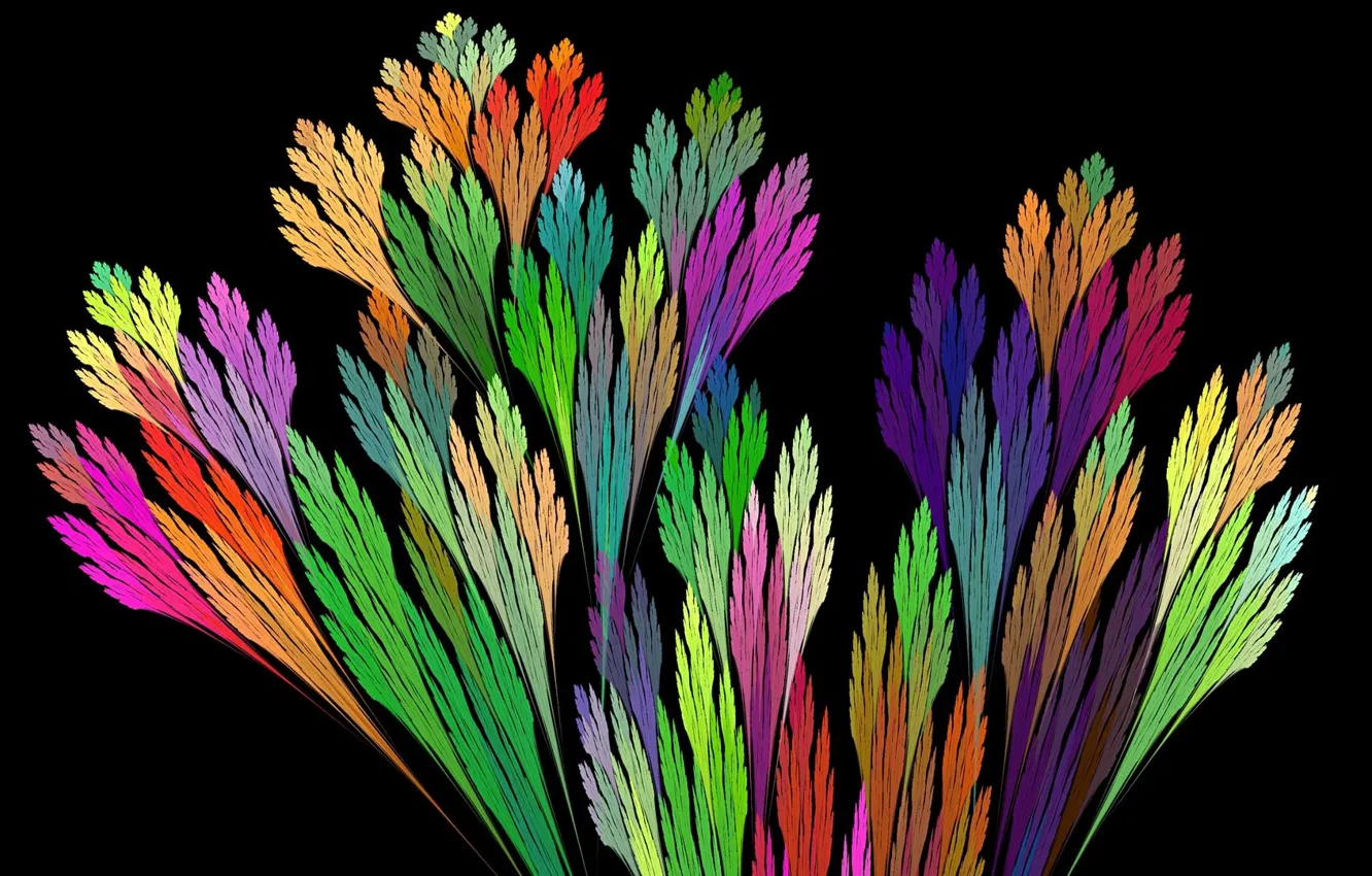 Photo wallpaper branches, colored, black background