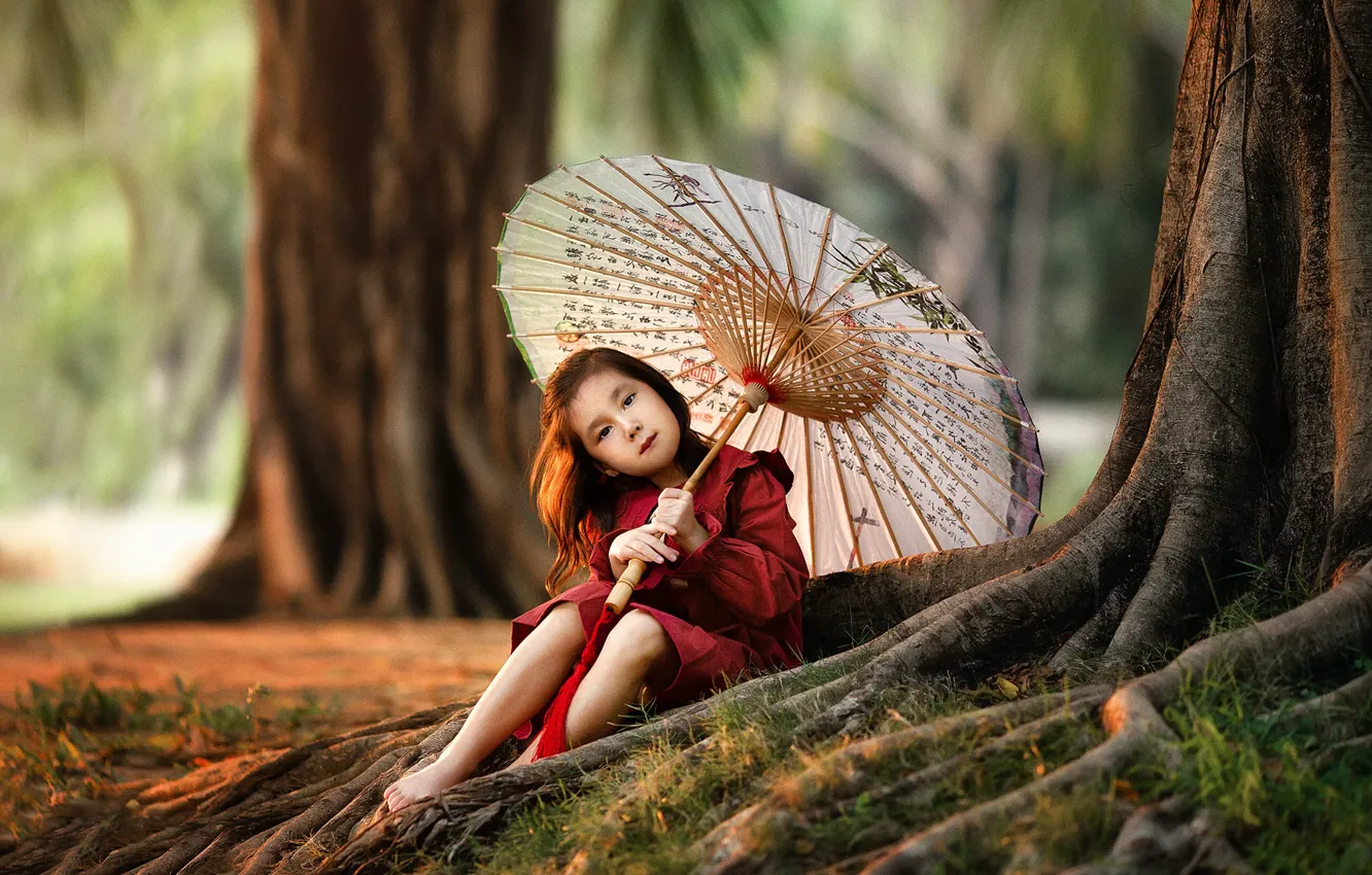 Photo wallpaper trees, nature, umbrella, girl, child, Anastasia Barmina, Anastasia Barmina