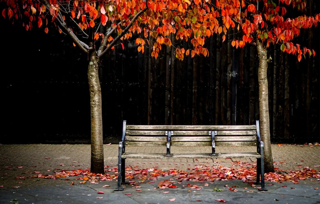 Photo wallpaper autumn, street, bench