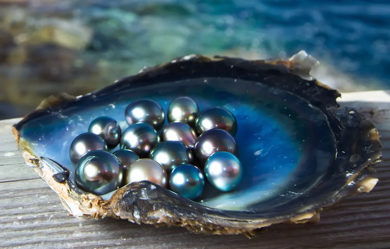 Photo wallpaper sea, light, Shine, shell, pearls, black pearl