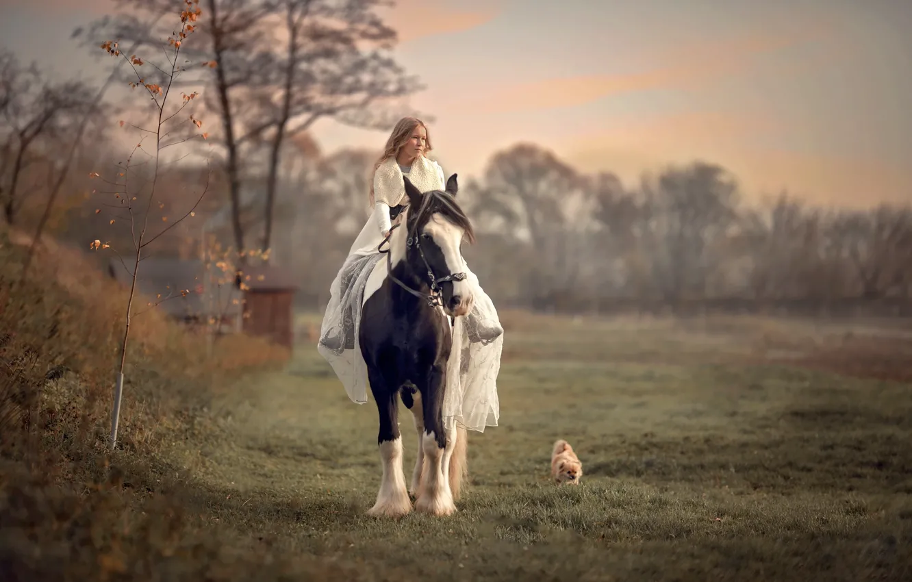 Photo wallpaper horse, dog, girl