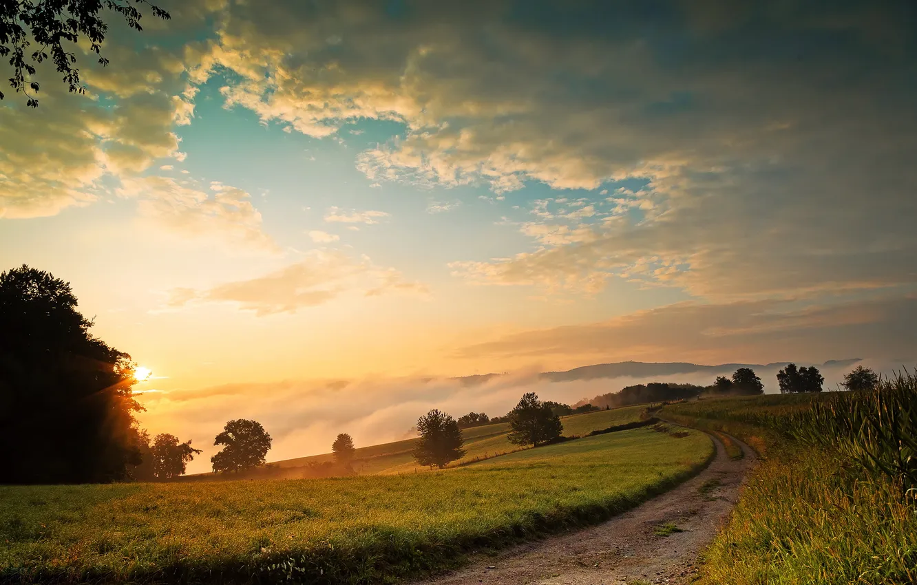 Photo wallpaper road, summer, nature