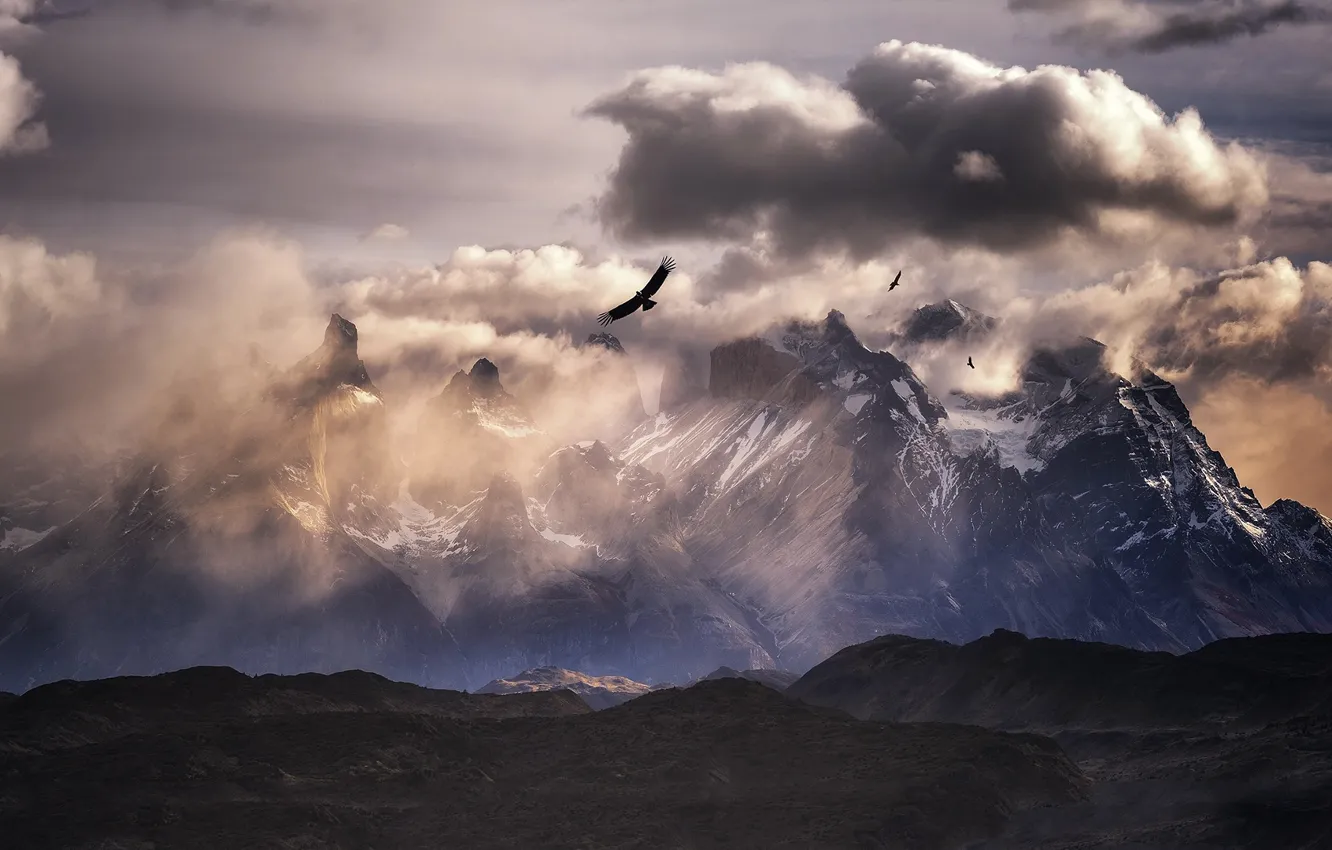 Photo wallpaper clouds, mountains, birds, Andes, South America, Condor