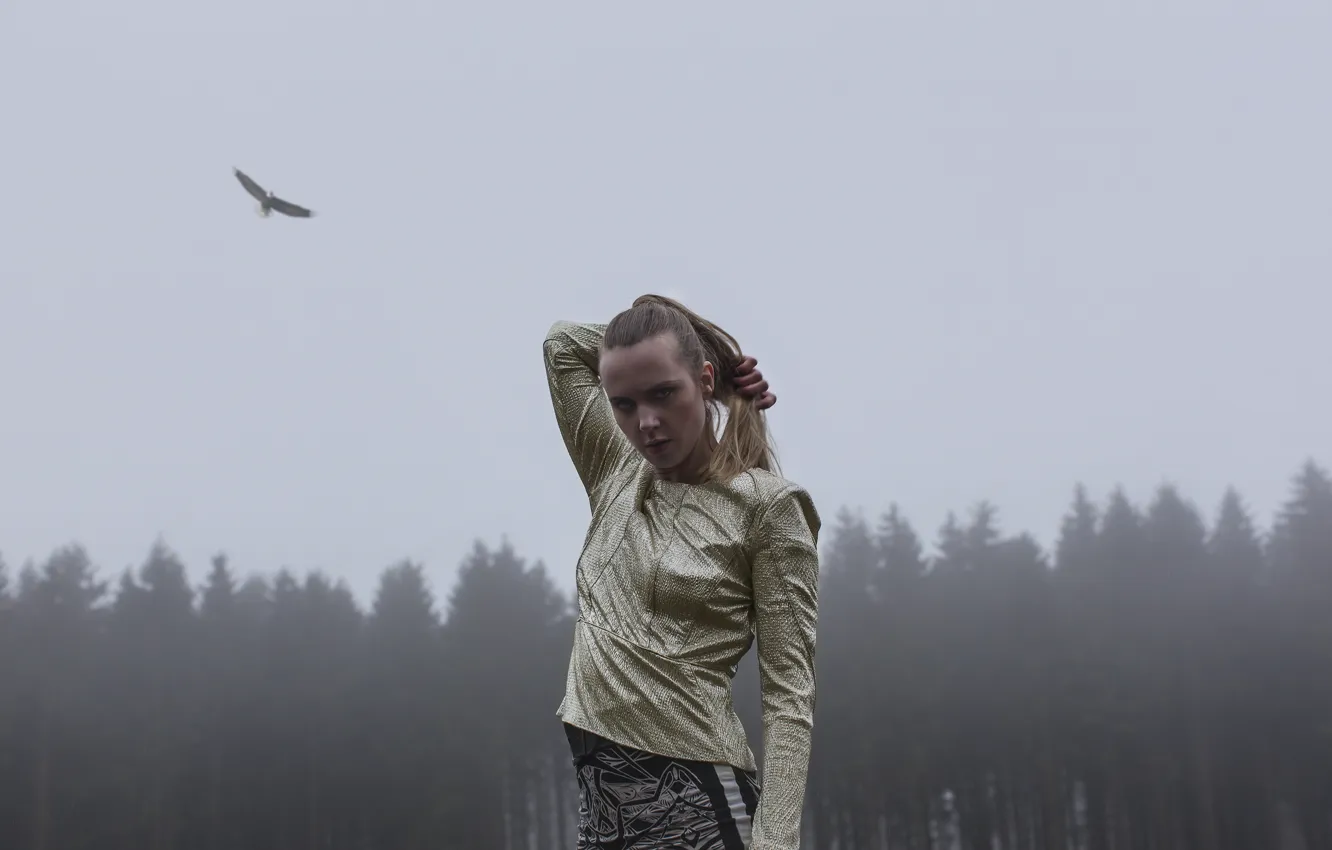 Photo wallpaper forest, look, fog, eagle, singer, electronic music, model, indie pop