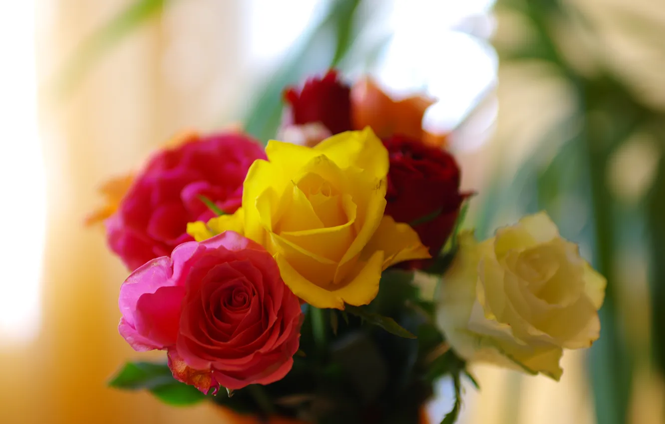 Photo wallpaper flowers, yellow, red, roses, bouquet, colorful, bokeh, blurred background