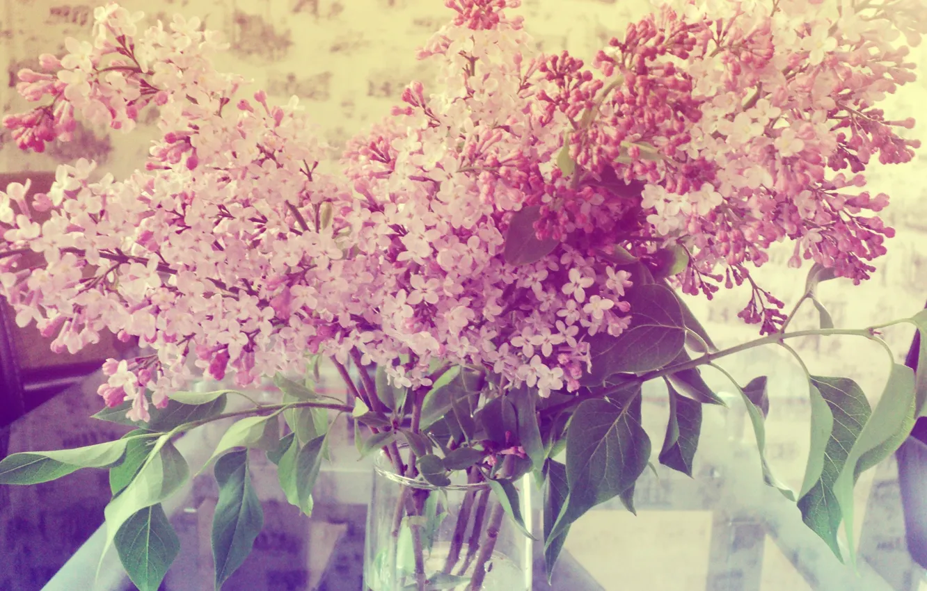 Photo wallpaper summer, flowers, lilac