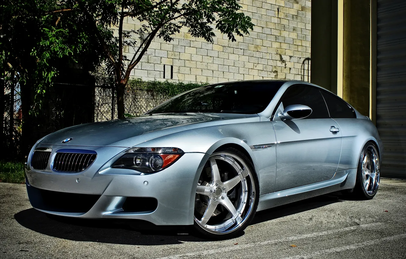 Photo wallpaper trees, wall, BMW, Miami, silver, BMW, the fence, Miami