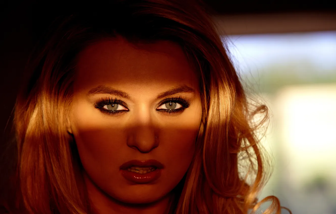 Photo wallpaper girl, light, face, strip, model, shadow, blonde, Natalia Starr