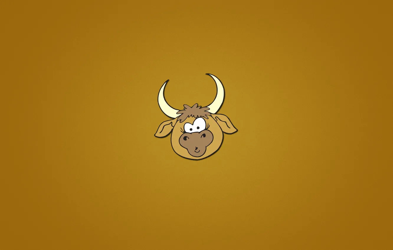 Photo wallpaper face, animal, minimalism, head, horns, orange background, bull, bull