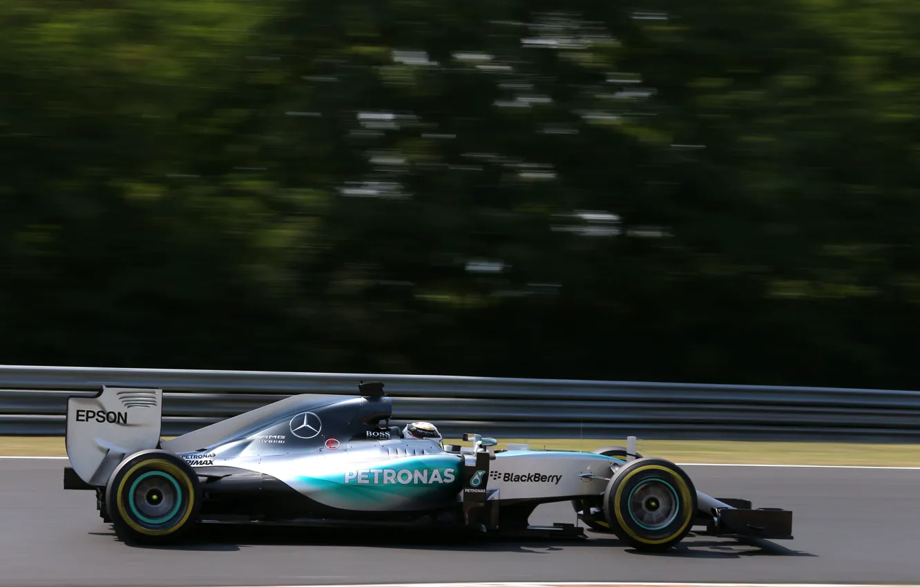 Photo wallpaper Profile, Mercedes, Formula 1, Lewis Hamilton, W06