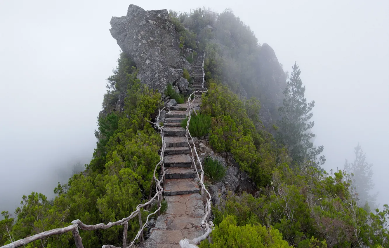 Photo wallpaper fog, mountain, ladder, stage