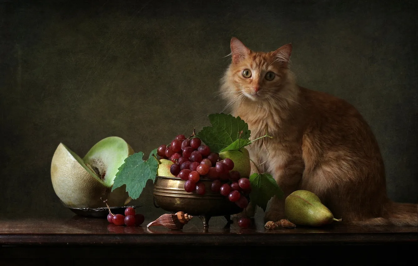 Photo wallpaper cat, cat, food, grapes, still life, melon