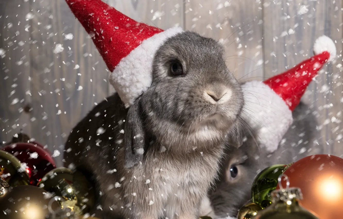 Photo wallpaper balls, decoration, holiday, New Year, Christmas, Christmas, New Year, bunny