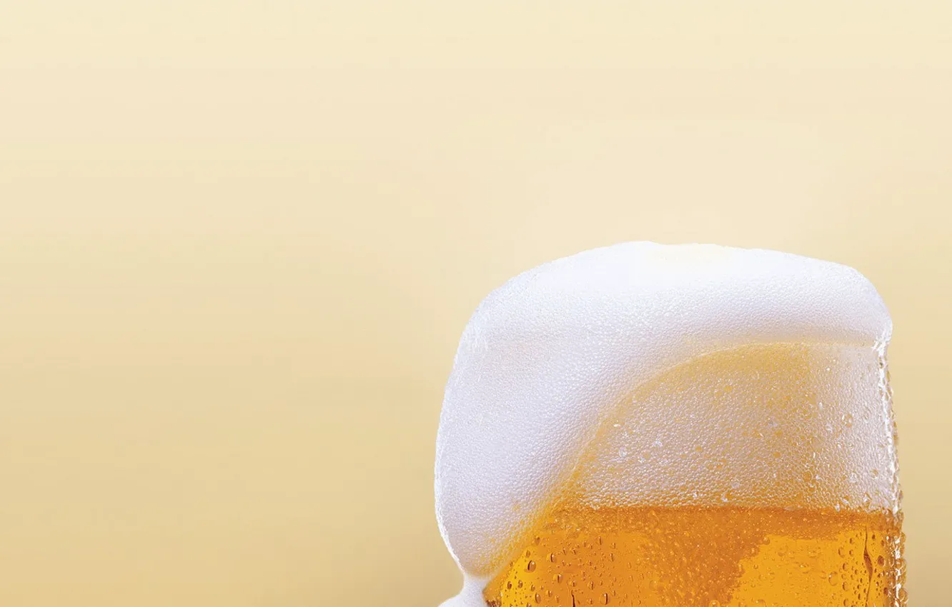 Photo wallpaper foam, drops, beer