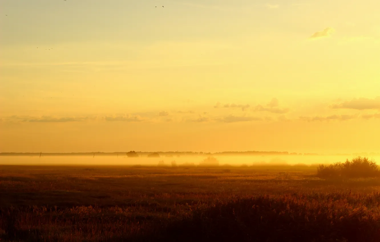 Photo wallpaper the sun, landscape, nature, dawn