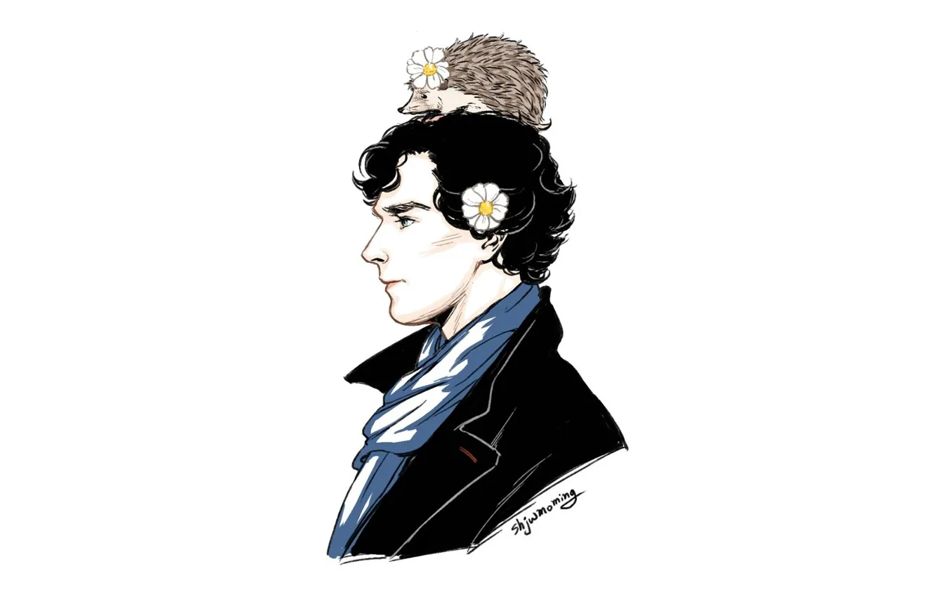 Photo wallpaper Sherlock Holmes, hedgehog, Benedict Cumberbatch, Sherlock, Sherlock BBC, Sherlock Holmes, Sherlock (TV series)