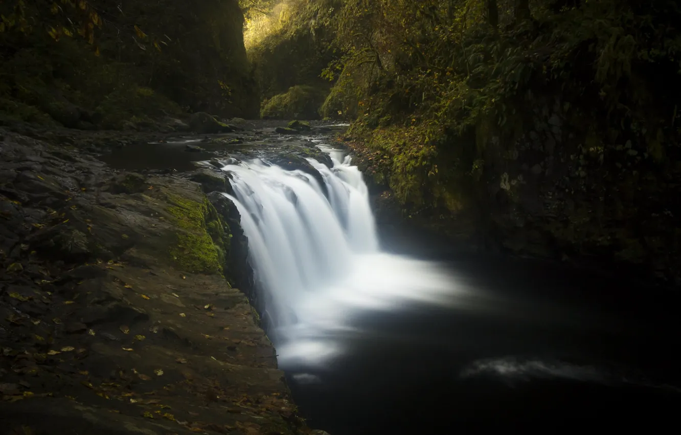 Photo wallpaper water, trees, stones, moss, Oregon, USA, the Columbia river gorge, Eagle Creek