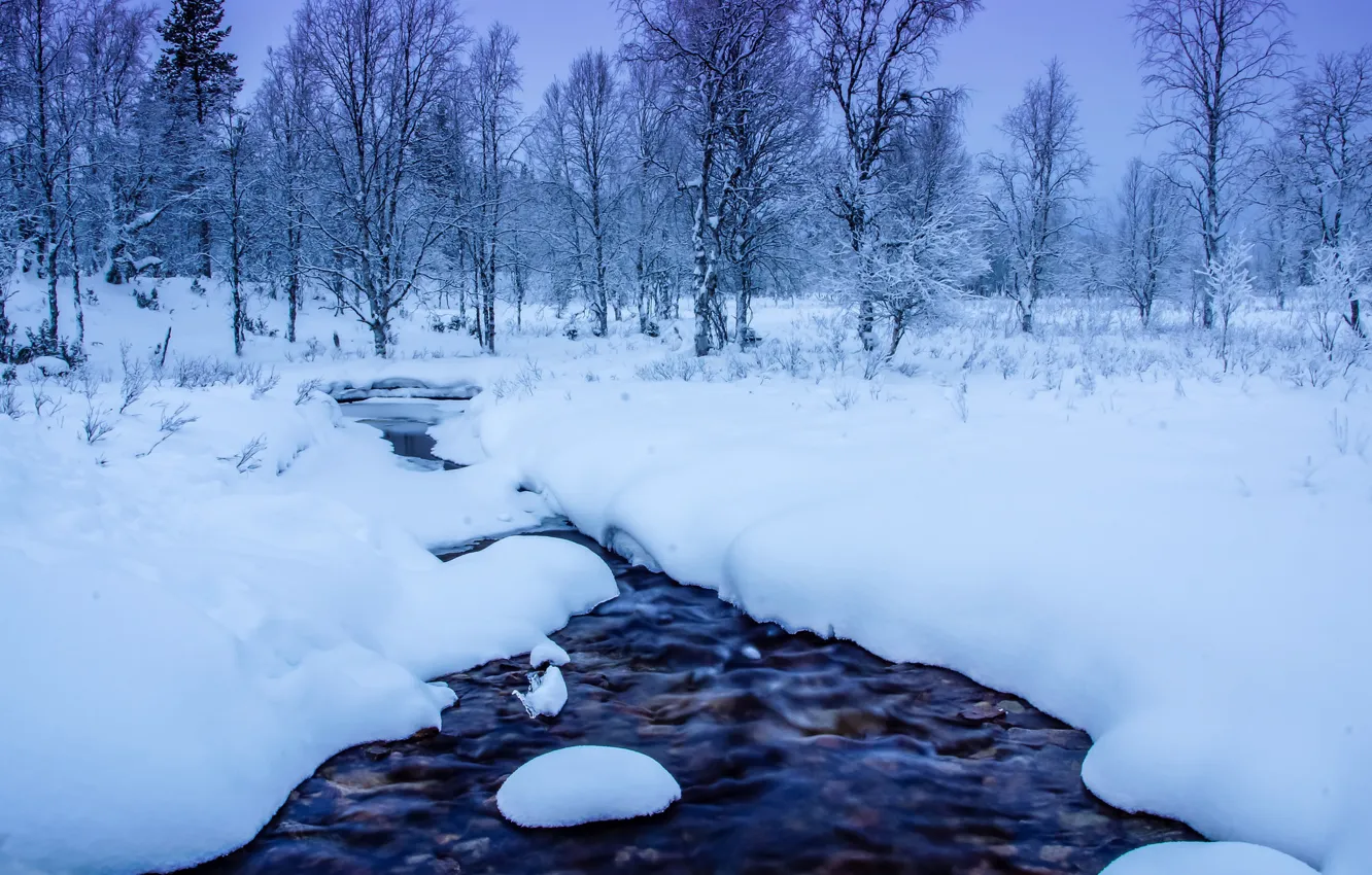 Photo wallpaper winter, snow, trees, the snow, river, Finland, Finland, Lapland