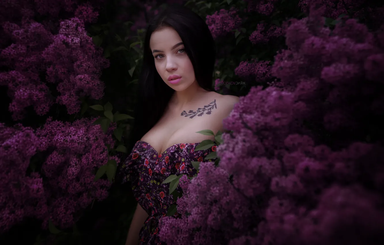 Photo wallpaper look, girl, tattoo, neckline, lilac, Angelina Sorokina, Alexander Drobkov-Dark
