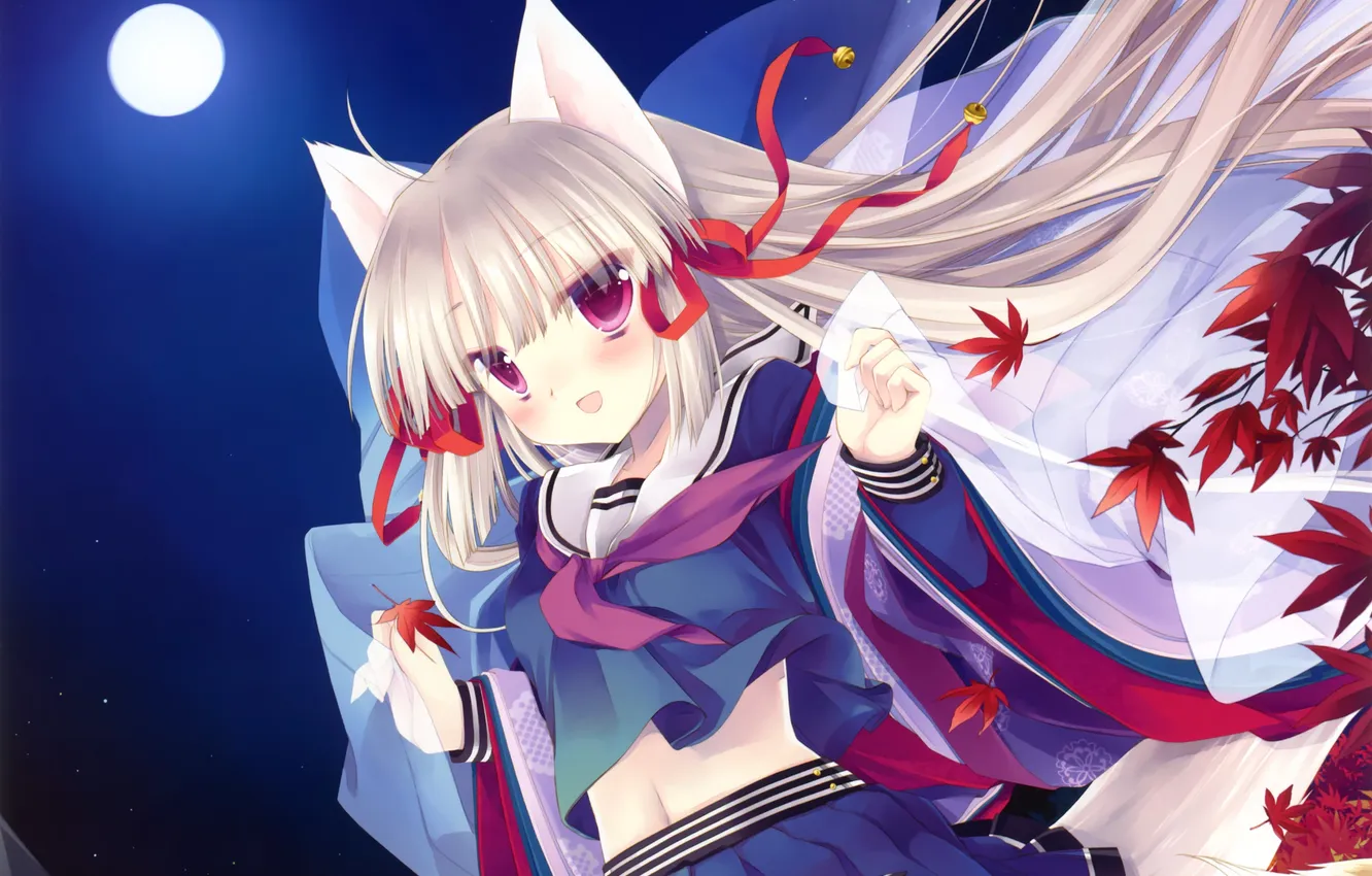 Photo wallpaper autumn, the sky, leaves, girl, night, the moon, anime, art