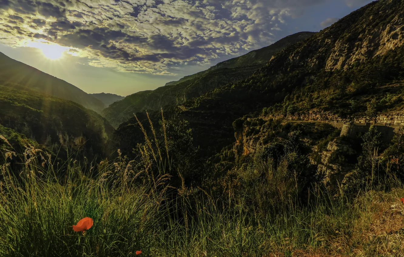 Photo wallpaper grass, clouds, mountains, rocks, France, Maki, Alps, gorge