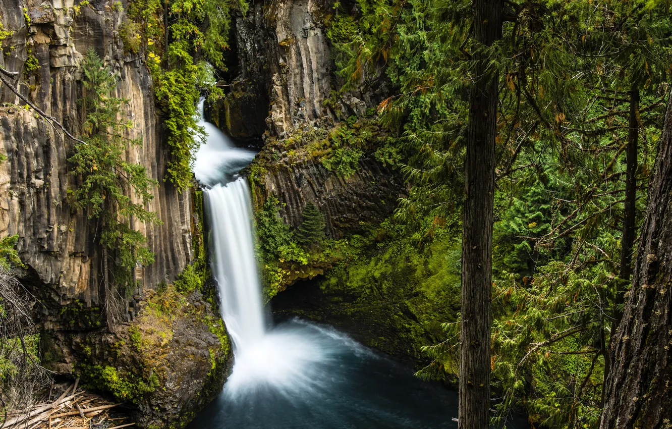 Photo wallpaper forest, trees, stones, rocks, waterfall, moss, USA, Oregon