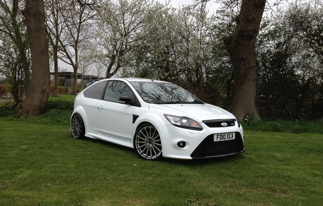 Photo wallpaper white, grass, ford, focus