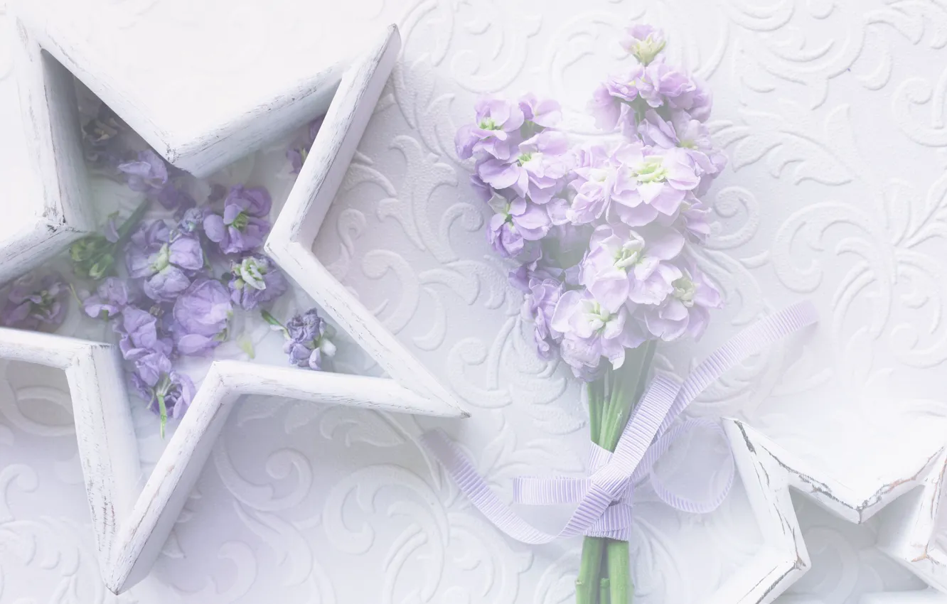 Photo wallpaper flowers, composition, gillyflower