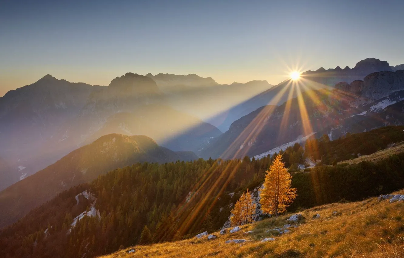 Photo wallpaper forest, the sun, trees, sunset, mountains