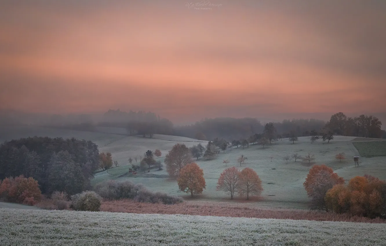 Photo wallpaper the sky, trees, fog, dawn, field, morning, forest, frost
