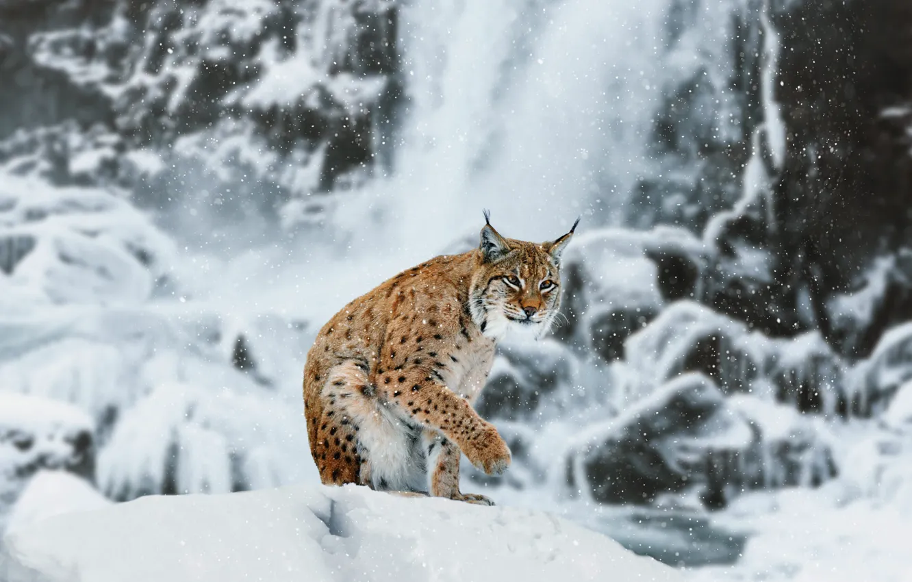 Photo wallpaper winter, look, snow, nature, stones, rocks, shore, waterfall