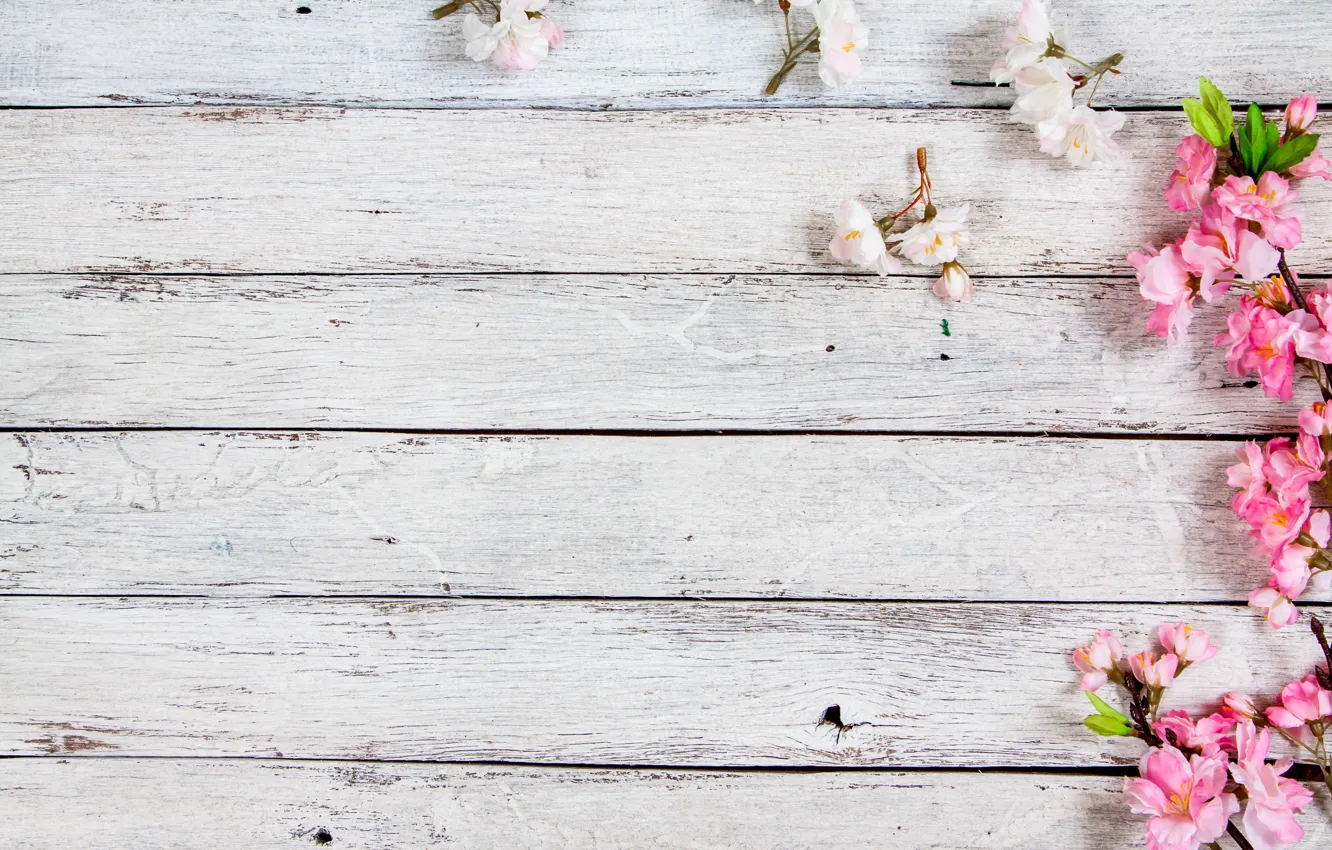 Photo wallpaper flowers, branches, spring, flowering, wood, pink, blossom, flowers