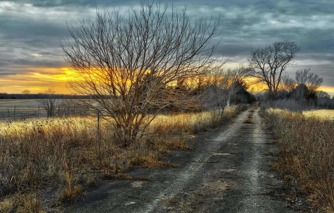 Photo wallpaper road, sunset, nature