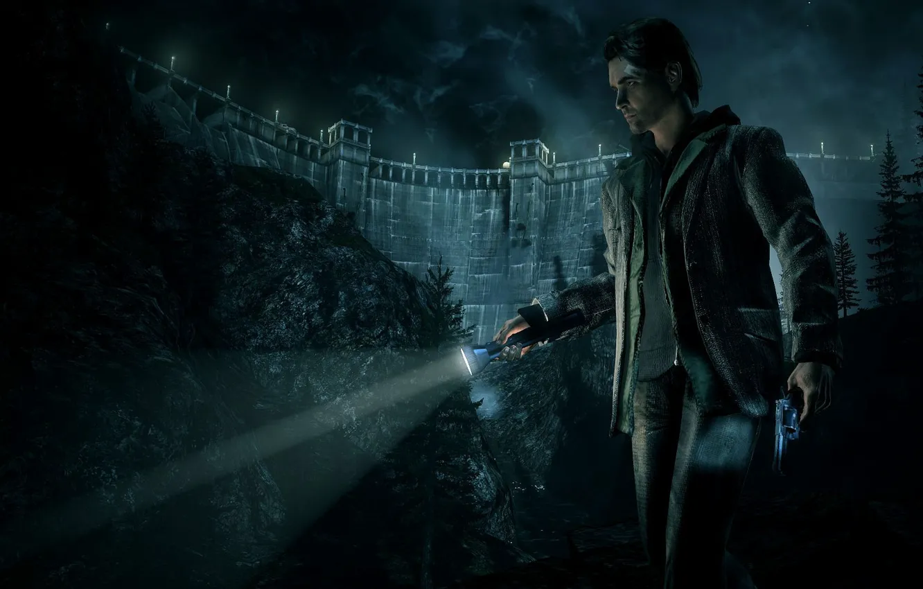 Photo wallpaper forest, night, the darkness, flashlight, Alan Wake