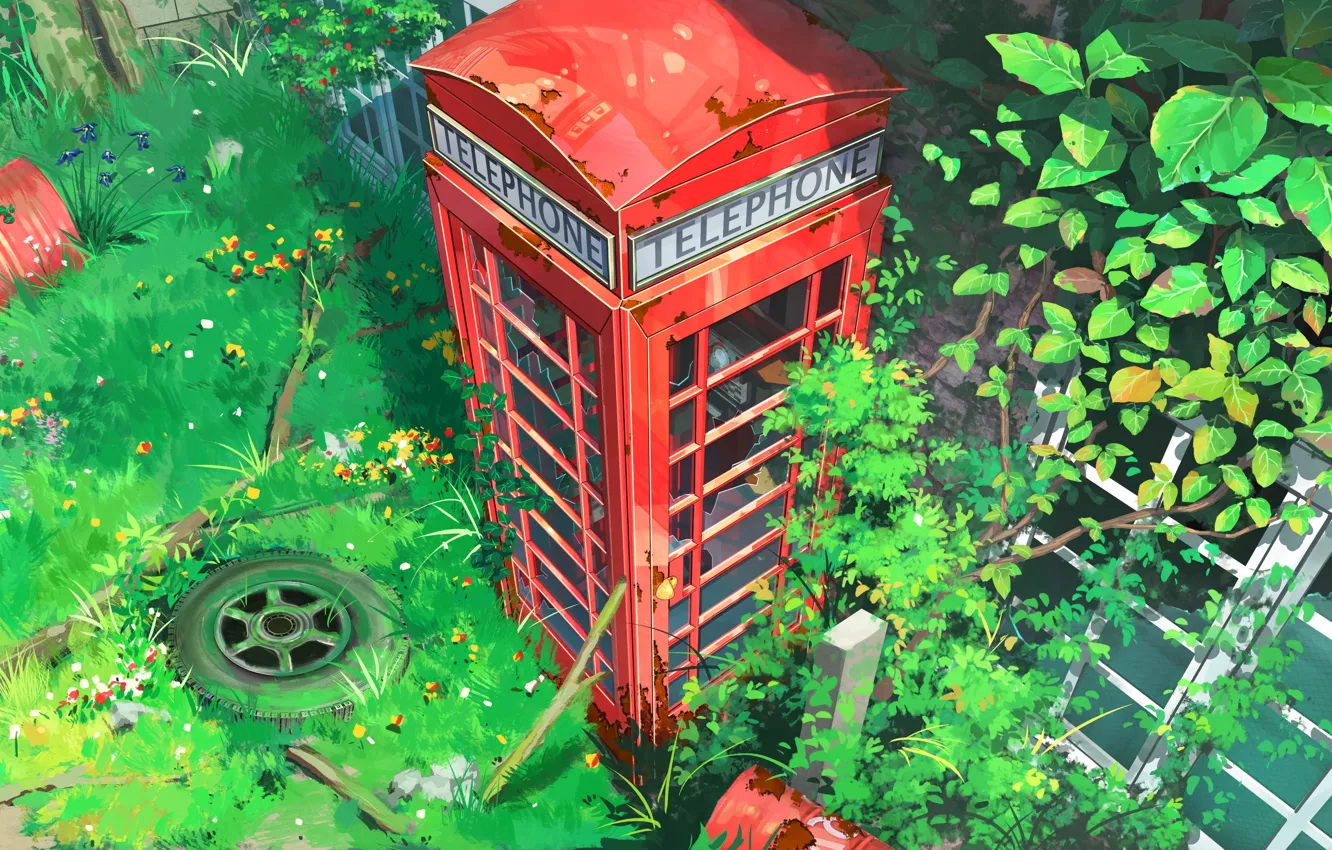 Photo wallpaper thickets, green grass, red, phone booth, the wheels of the car, by lv