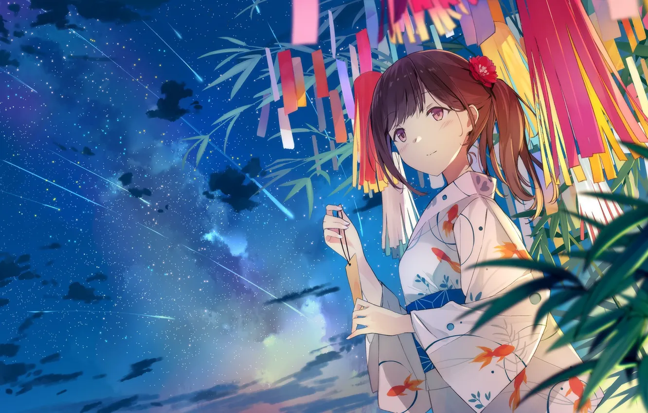 Photo wallpaper Girl, Night, Art, Starry sky