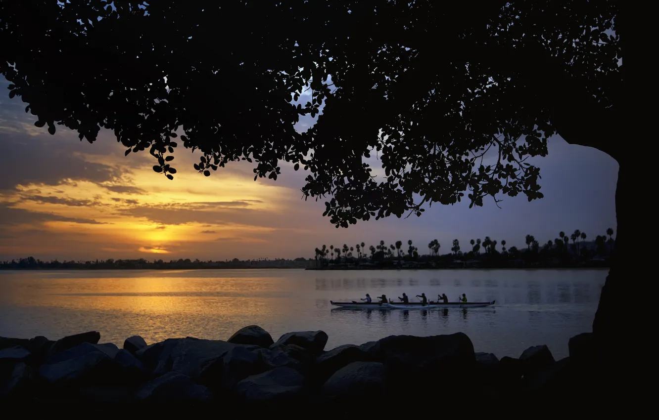 Photo wallpaper trees, sunset, river, shore, boat, team, swimming, Canoeing