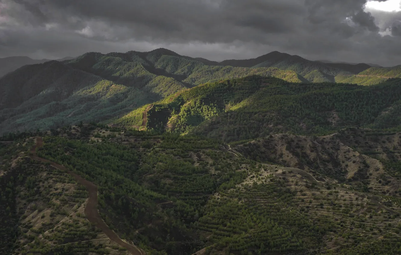 Photo wallpaper forest, mountains, clouds, nature