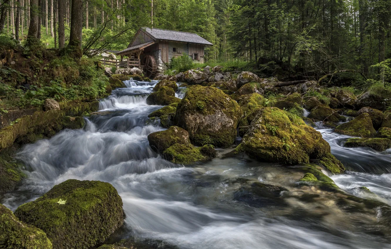 Photo wallpaper forest, river, stones, stream, house