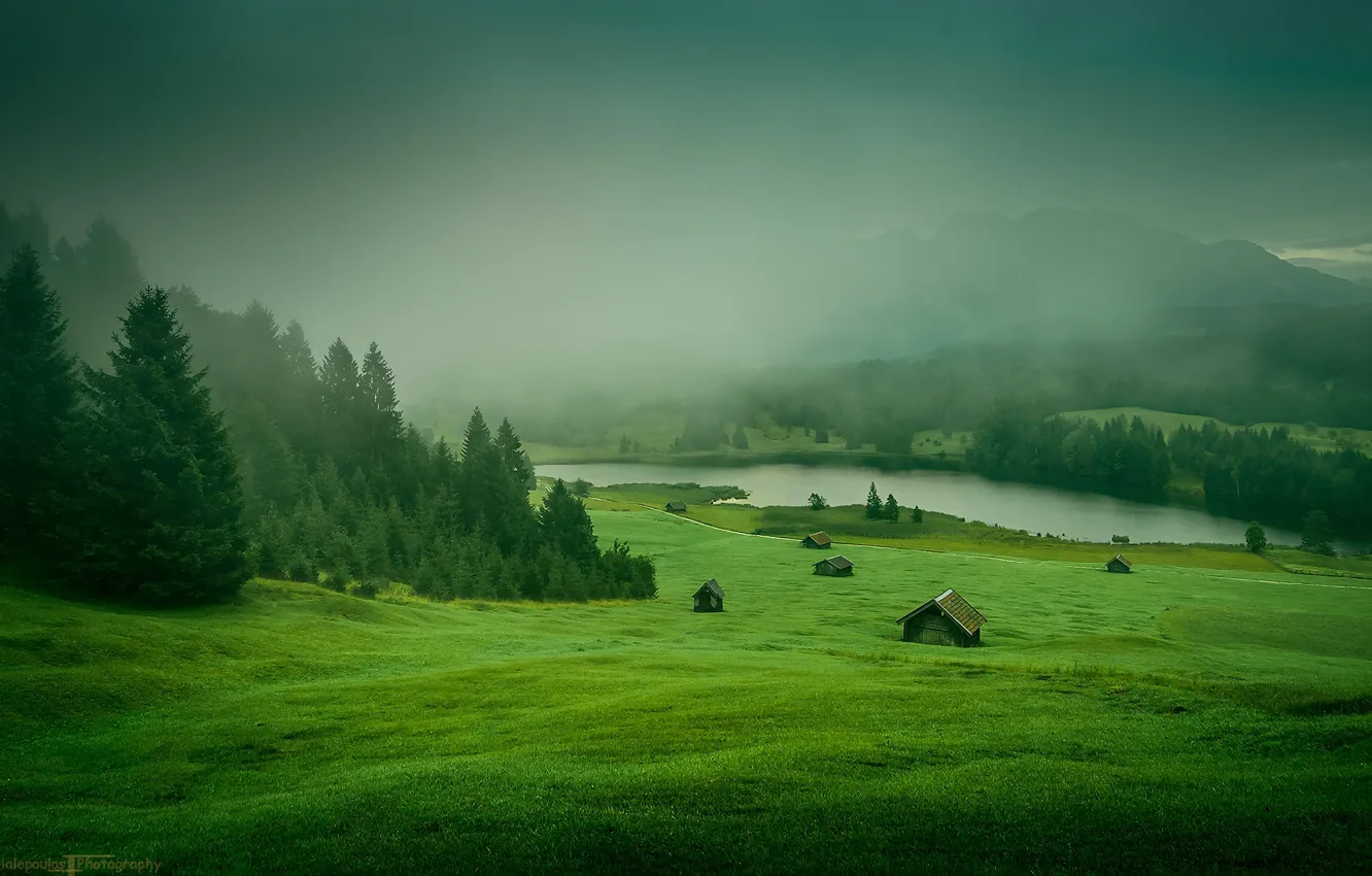 Photo wallpaper grass, forest, Nature, river, trees, landscape, mountains, houses