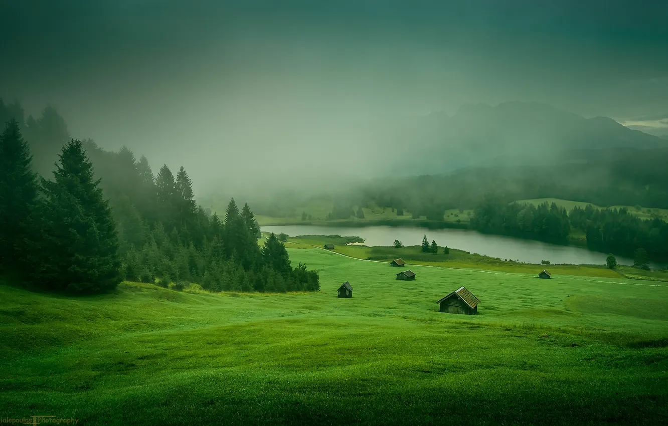 Photo wallpaper grass, forest, river, trees, landscape, nature, mountains, houses