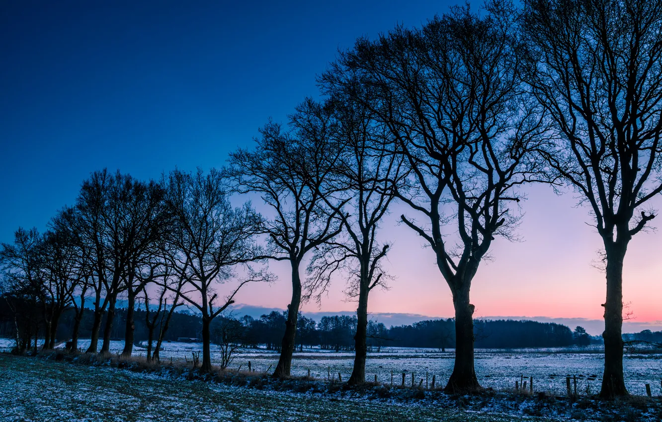 Photo wallpaper winter, frost, field, trees, dawn, glade, morning, Norway